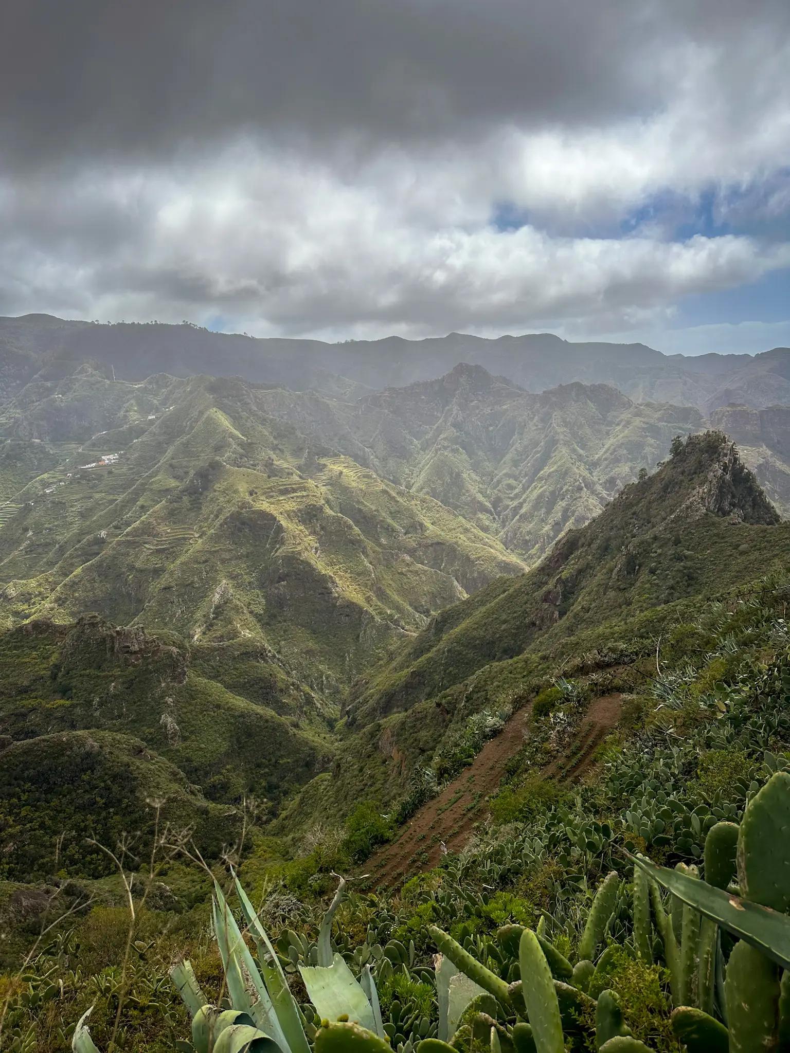 cruz del carmen trail landscape