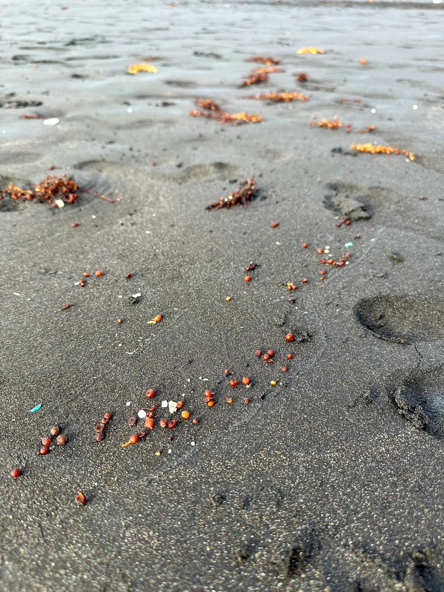 benijo black sand beach