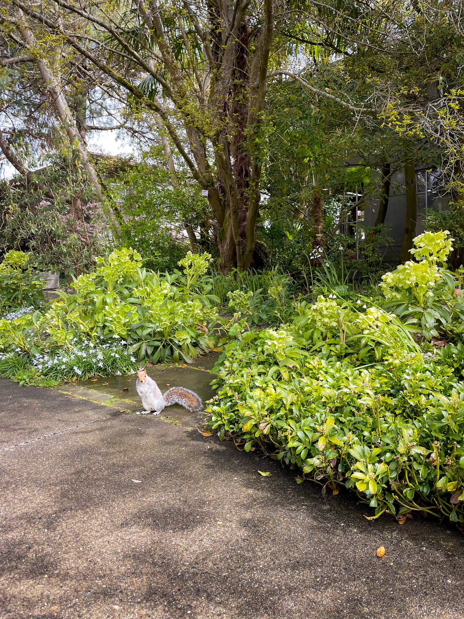 carl s. english botanical garden