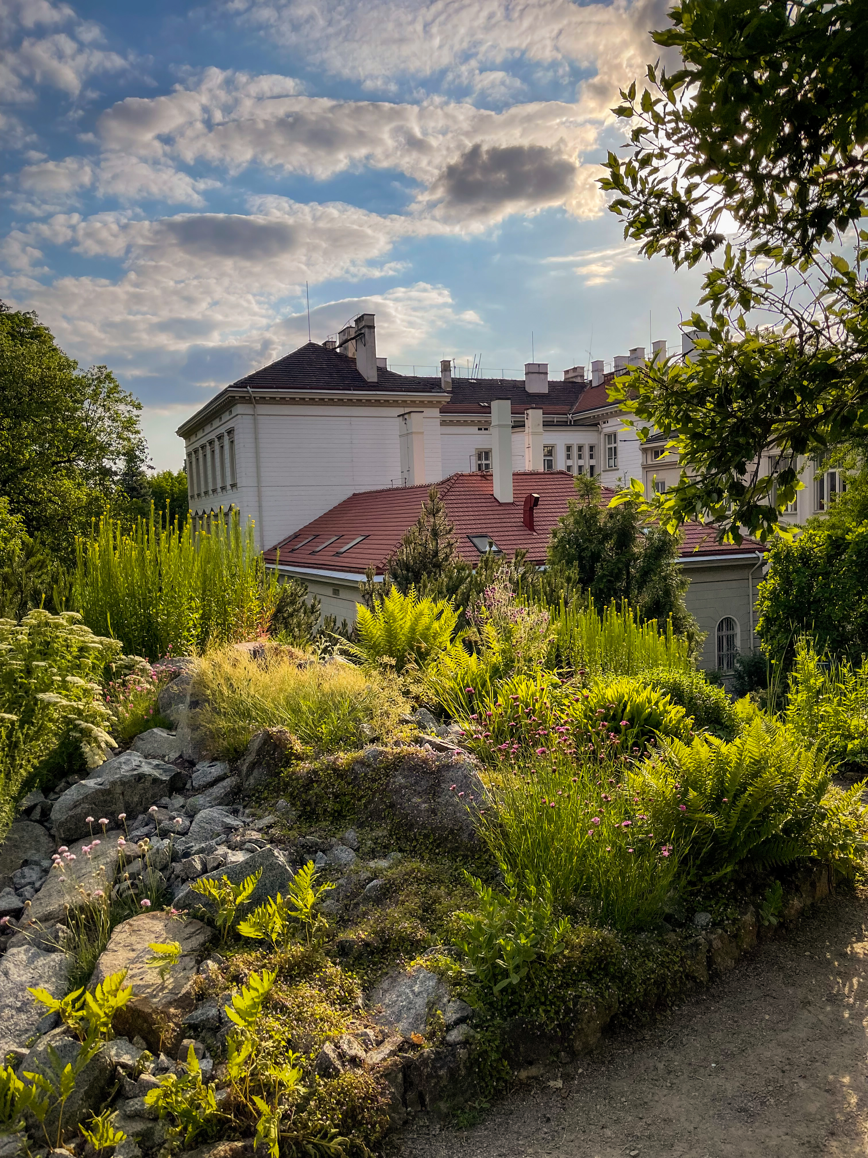 charles university botanical garden