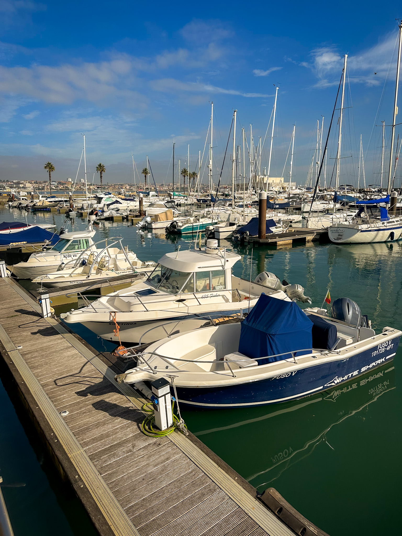 the cascais marina