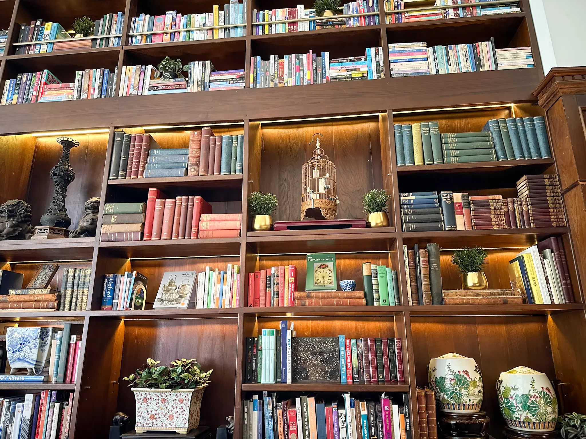 library from a cafe in chiang mai, thailand