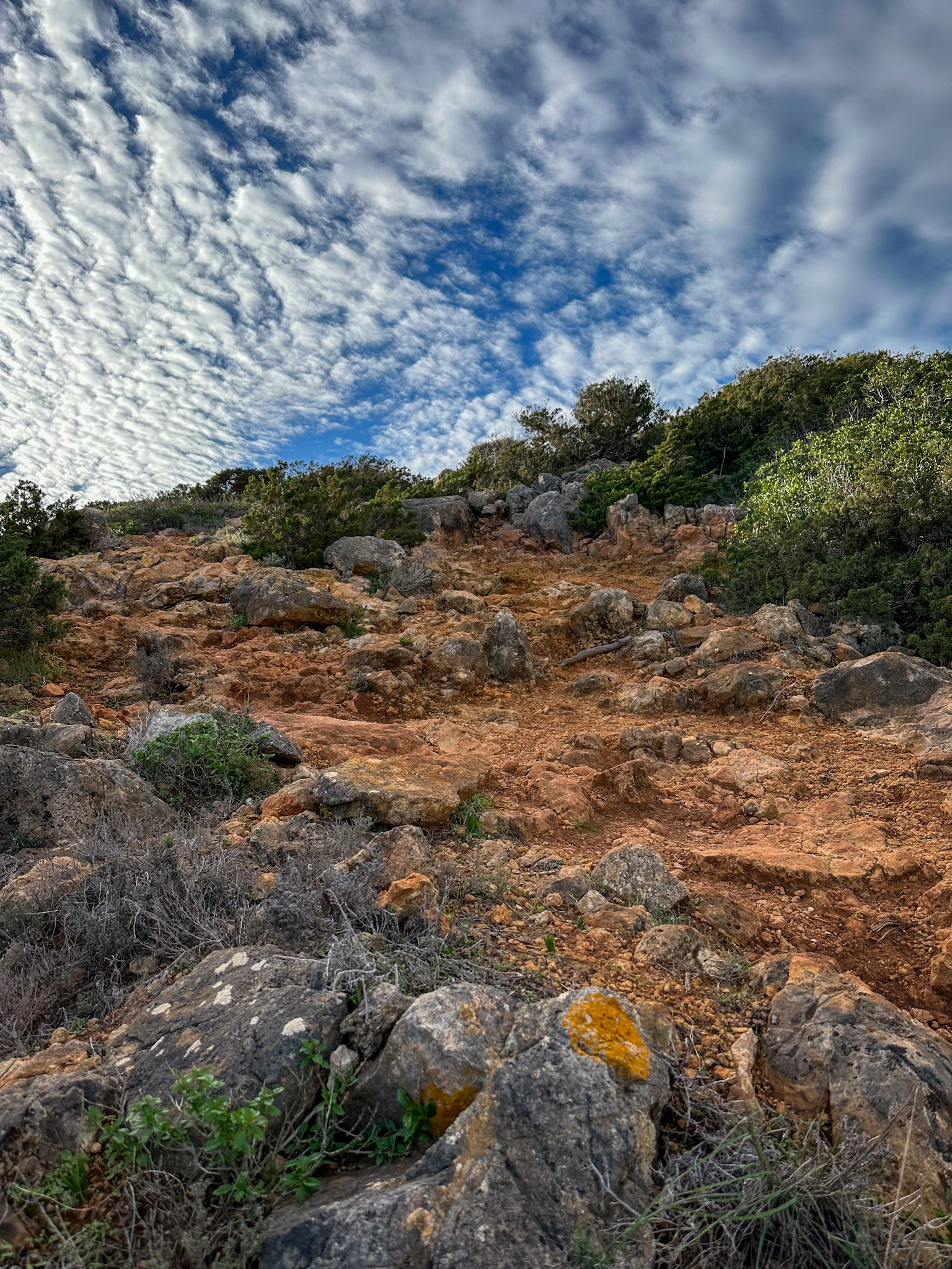 uphill view of the climb near praia das furnas