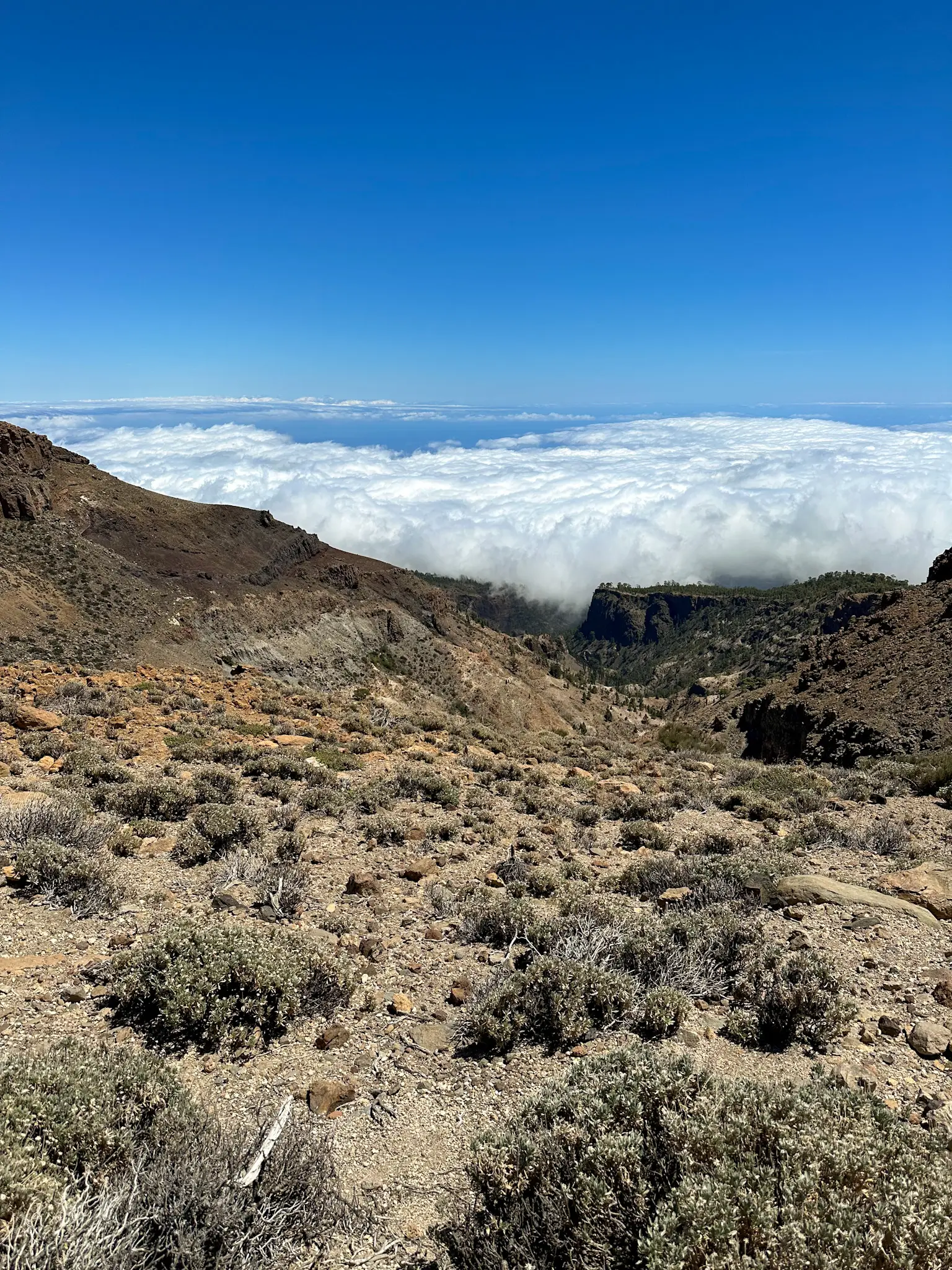 mount guajara trail landscape