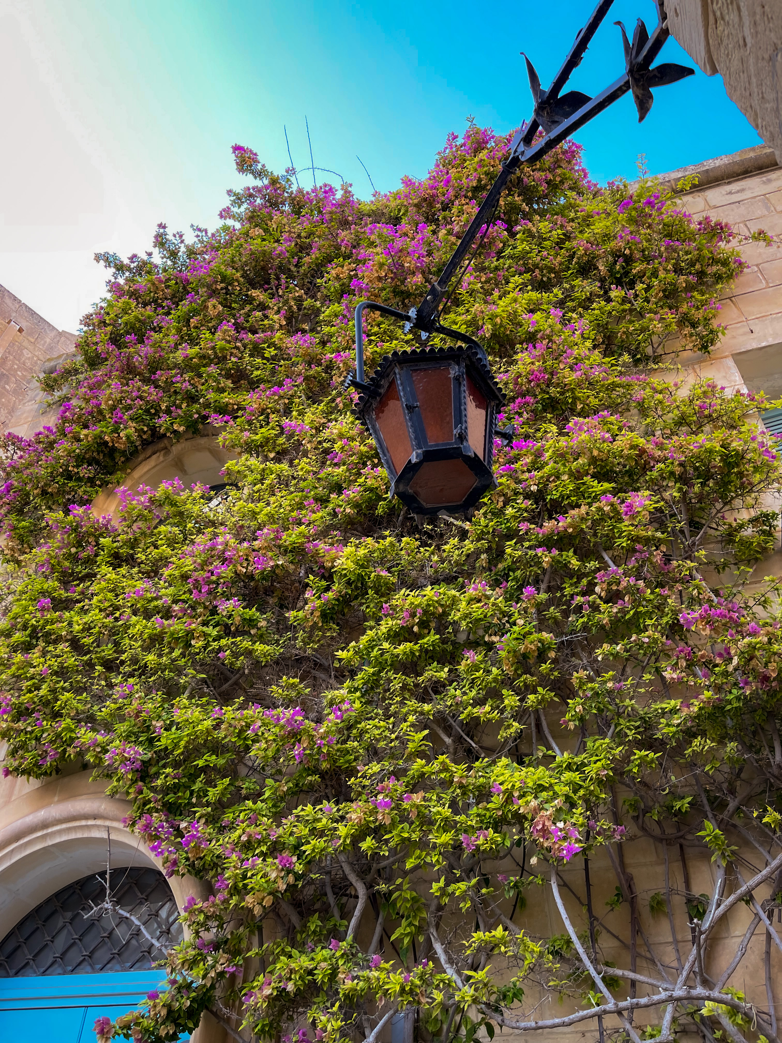 mdina blue door