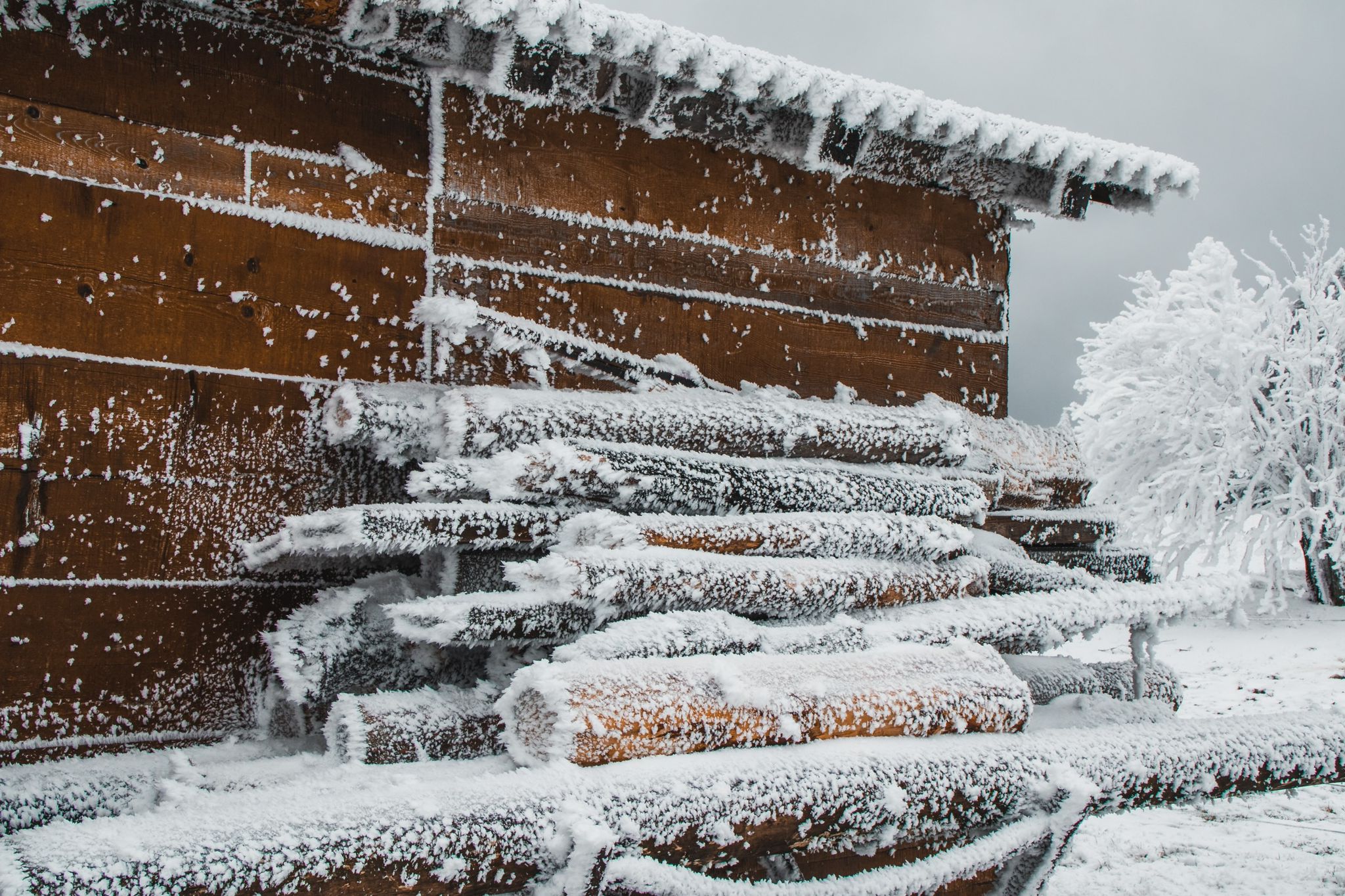 a heap of logs next to a mountain cabin in the piatra mare mountains, photo by oana vasilescu