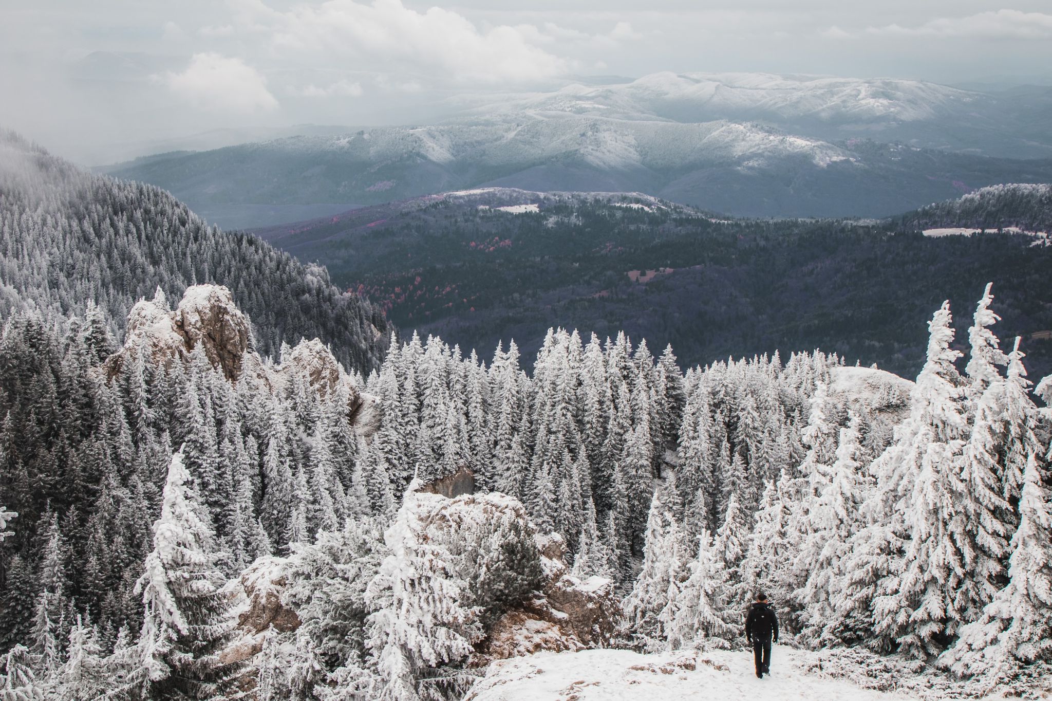 silviu on a mountain trail, overlooking the Bucegi mountains, photo by oana vasilescu