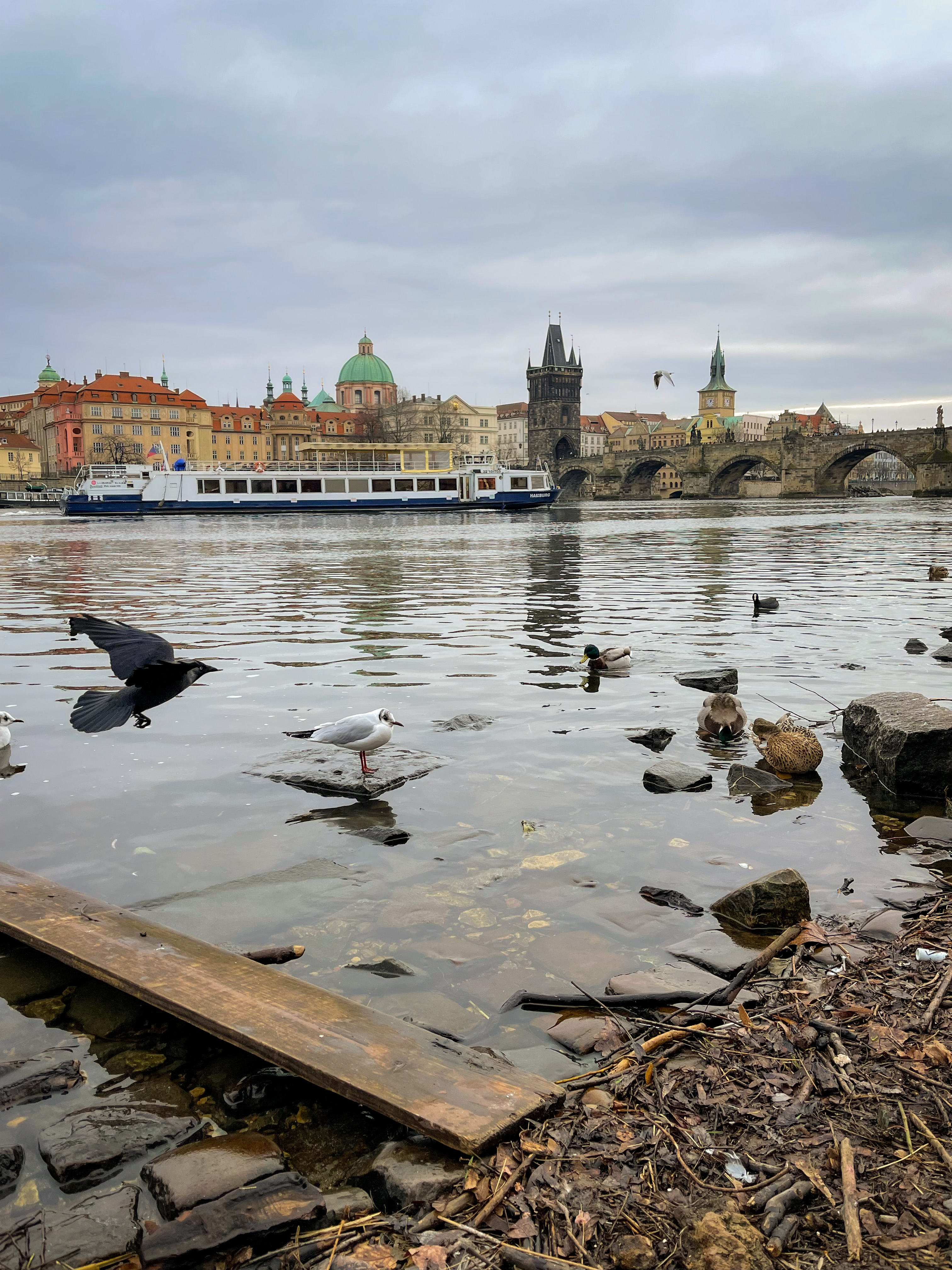 charles bridge view from park cihelná