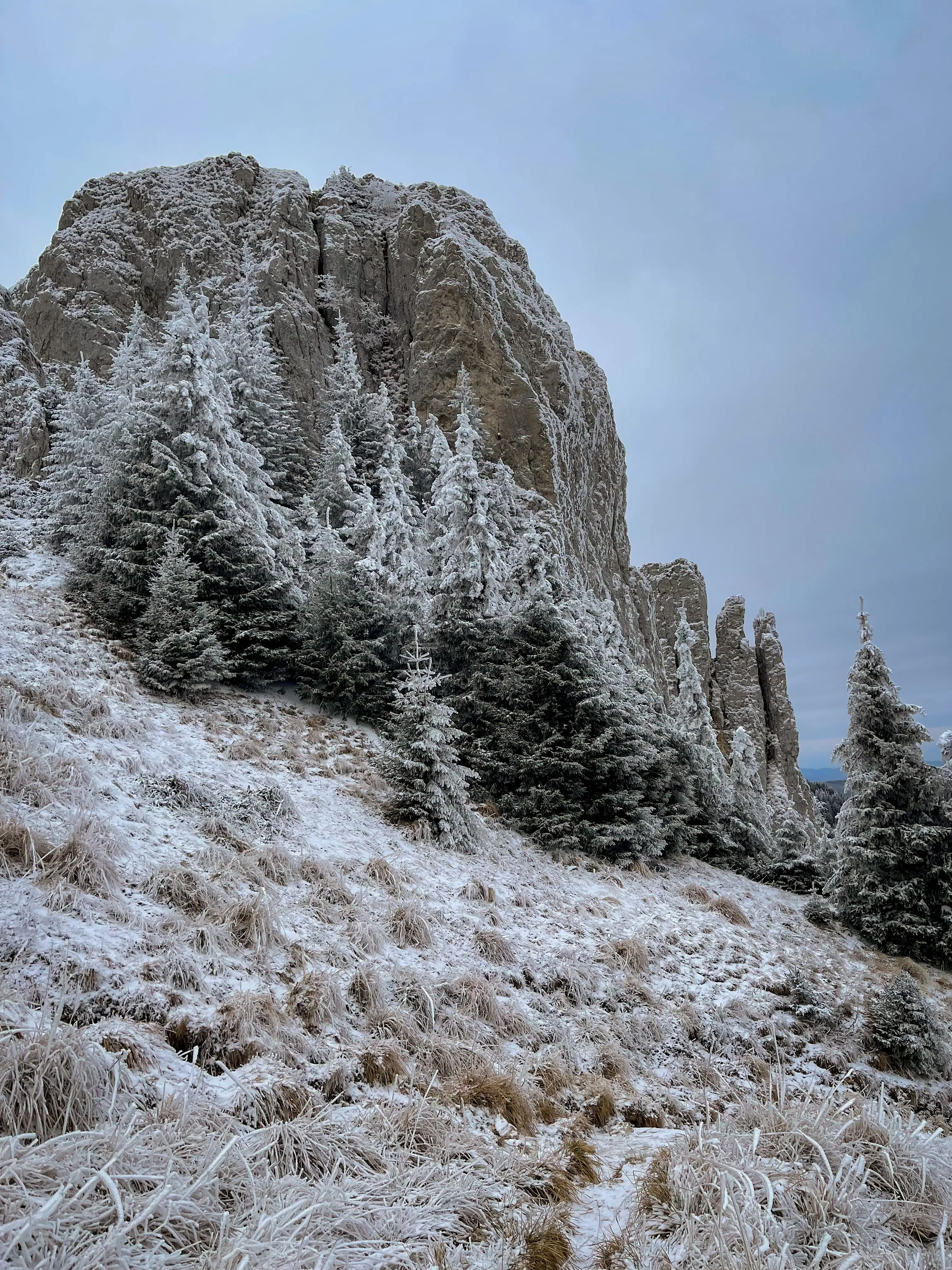 view from a trail in the piatra mare mountains