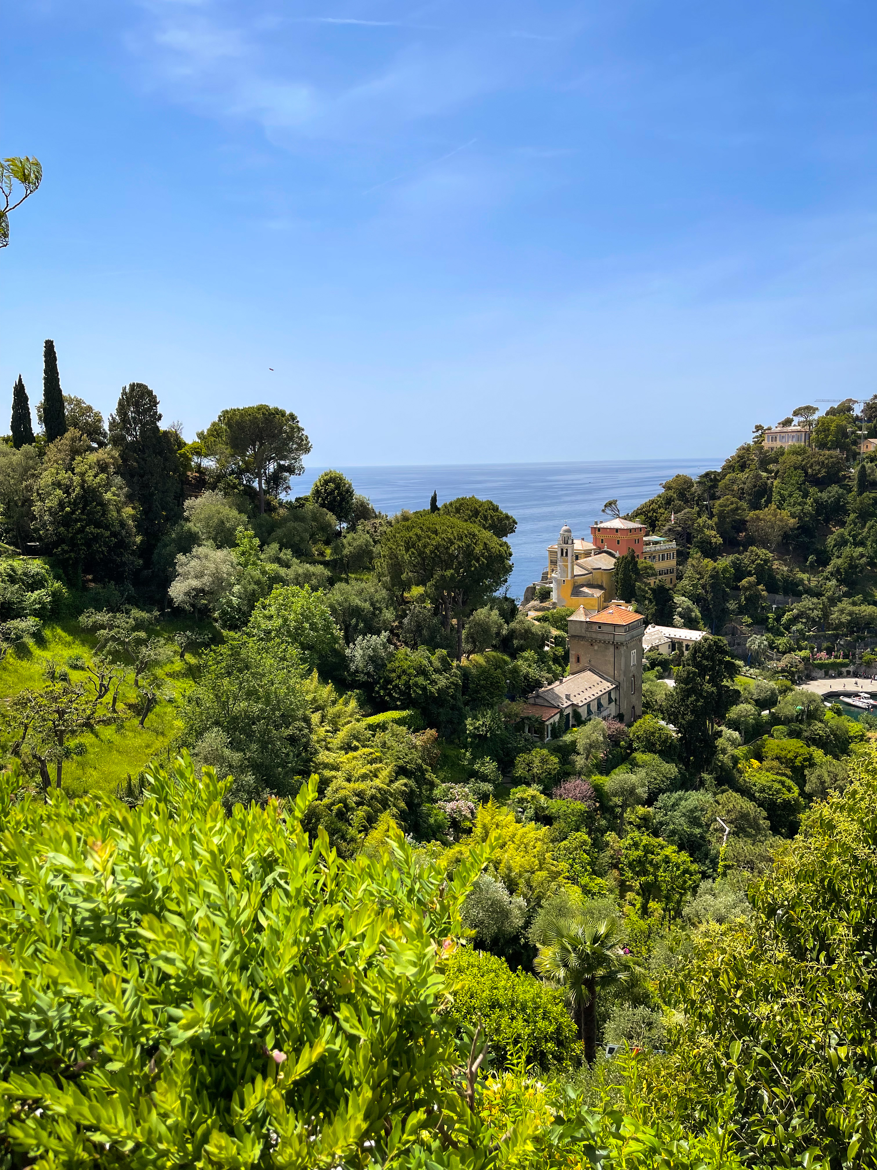 hills of portofino