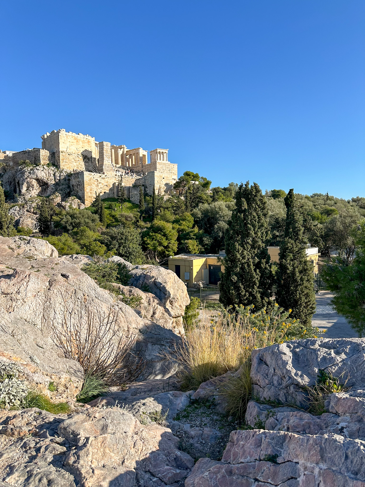 view of the acropilis from a nearby hill